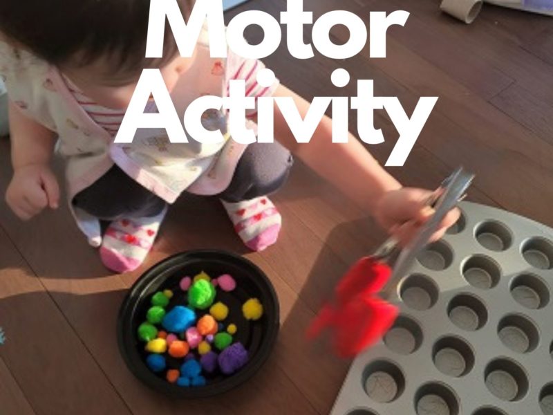 Pompom Motor Activity Chinese